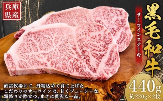 牛肉 兵庫県産 黒毛和牛 サーロイン ステーキ 約220g×2枚 計440g