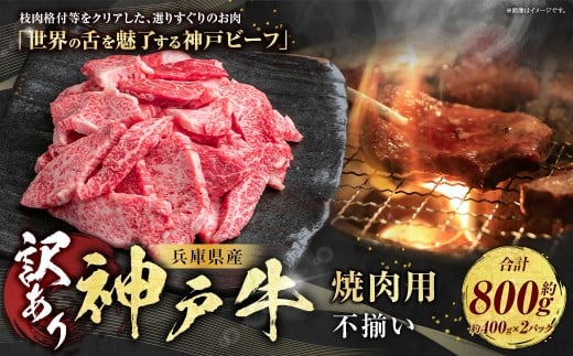 訳あり 神戸牛 焼肉用（不揃い）約400g×2 計約800g AKY1-2