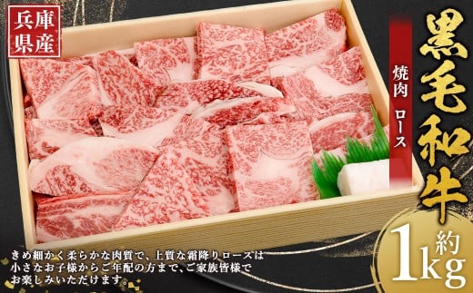 牛肉 兵庫県産 黒毛和牛 焼肉 ロース 約1kg×1パック