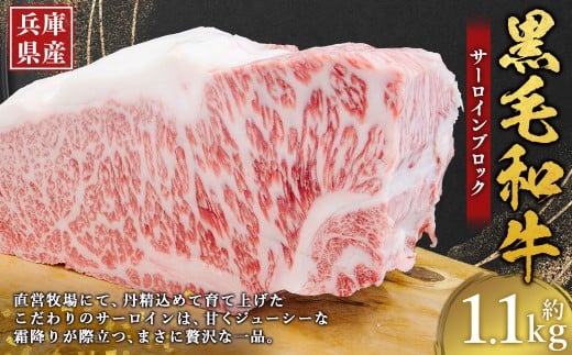 牛肉 兵庫県産 黒毛和牛 サーロイン ブロック 約1.1kg×1パック