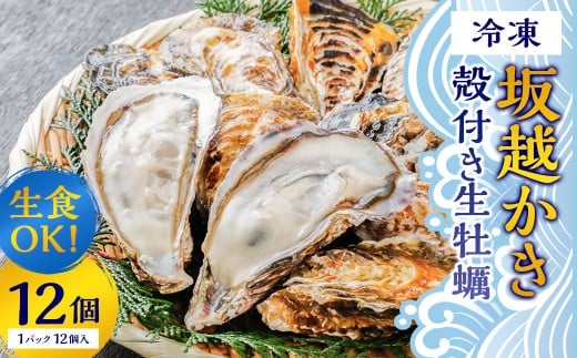 生食OK 坂越かき 殻付き生牡蠣 12個入り 【冷凍】 カキ 牡蠣 かき 海の幸 魚介 貝