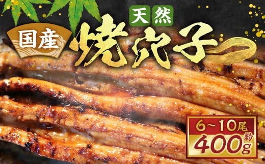 国産天然焼穴子（約400ｇ）