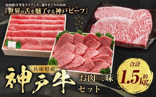 神戸牛 お肉三昧セット 計約1.5kg AKLS10