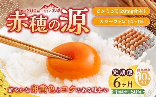 【6ヶ月定期便】 赤穂の源 50個