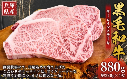 牛肉 兵庫県産 黒毛和牛 サーロイン ステーキ 約220g×4枚 計880g