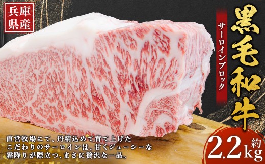 牛肉 兵庫県産 黒毛和牛 サーロイン ブロック 約2.2kg×1パック