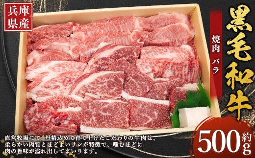 牛肉 兵庫県産 黒毛和牛 焼肉 バラ 約500g×1パック