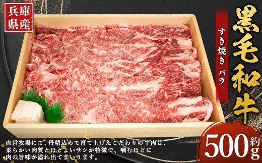 牛肉 兵庫県産 黒毛和牛 すき焼き バラ 約500g×1パック