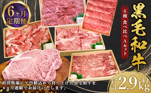 【6回定期便】牛肉 兵庫県産 黒毛和牛 6種 食べ比べ A