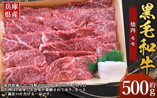 牛肉 兵庫県産 黒毛和牛 焼肉 モモ 約500g×1パック