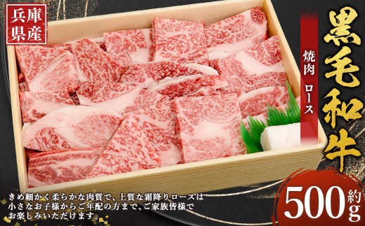 牛肉 兵庫県産 黒毛和牛 焼肉 ロース 約500g×1パック