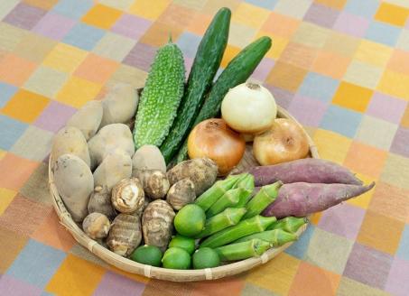 【旬のお野菜詰め合わせセットＡ】農産物直売所「北はりま旬菜館」からお届け！　05-13