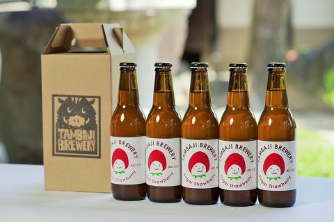 【クラフトビール】シュガーストロベリー 10本セット（丹波路ブルワリー） 24-17