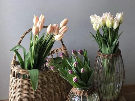 【四季の花・定期便】四季をいつくしむ～春夏秋冬 年4回お花をお届け～ 　84-4