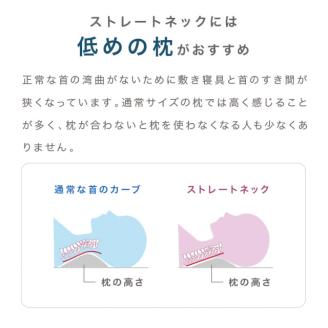 ロフテー「ソフィットピロー　エラスティックパイプ（枕カバー付）」S（MIDDLE）・グレー（114-6）