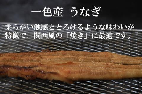 【うなぎ 蒲焼き】活うなぎ 1尾/愛知・一色産150g 魚プロ集団が最新ロースト機で手掛ける自信作！（11-53）