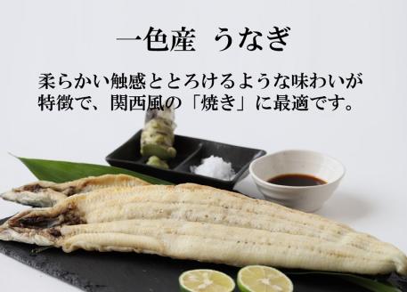 【うなぎ 白焼き】活うなぎ 1尾/愛知・一色産150g 魚プロ集団が最新ロースト機で手掛ける自信作！ （11-54）