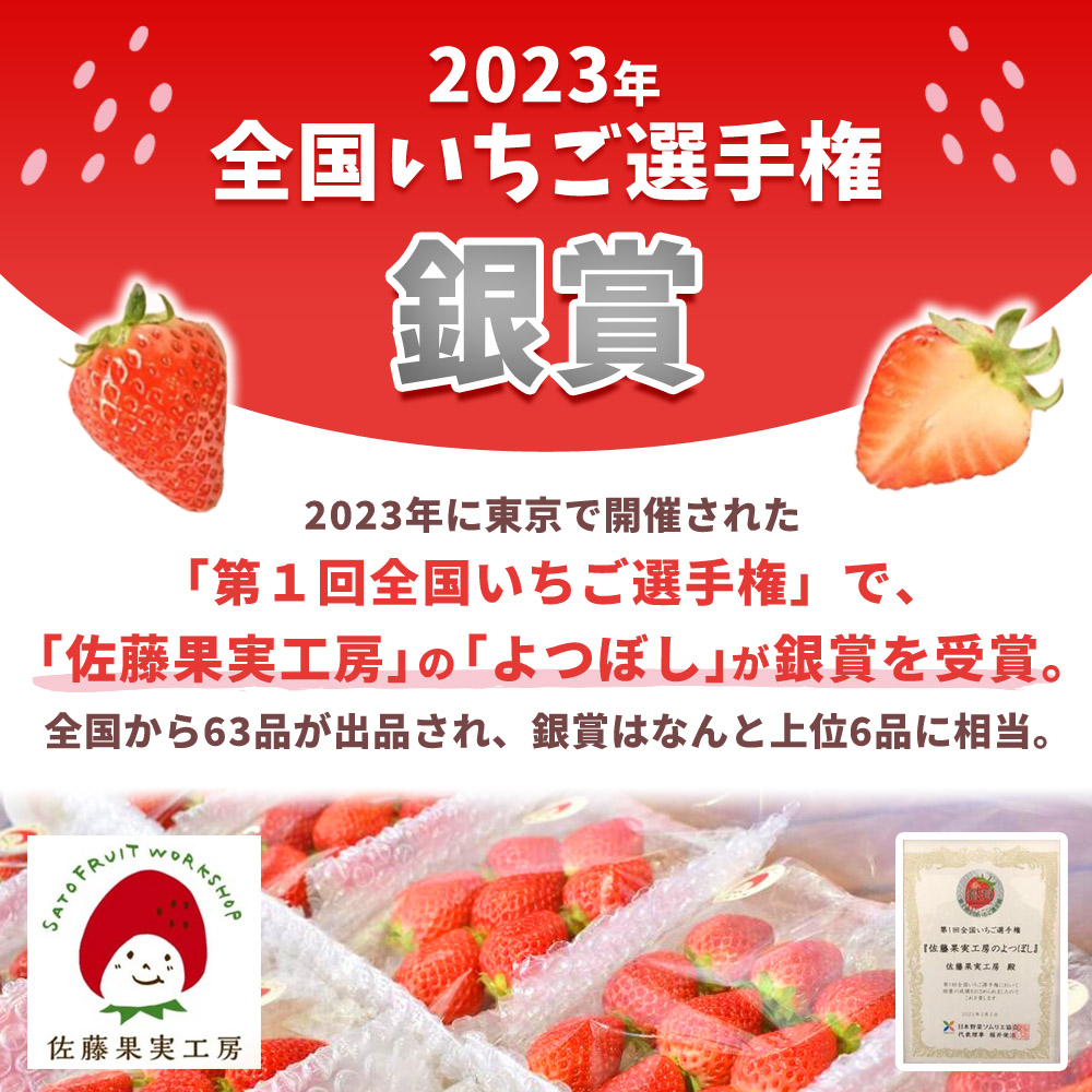 《2026年産先行予約》令和８年１月中旬配送分「西脇市産 佐藤果実工房のよつぼし」（約270g×２パック 約540g）【佐藤果実工房 全国いちご選手権銀賞受賞農園 TVで紹介!】（07-45）