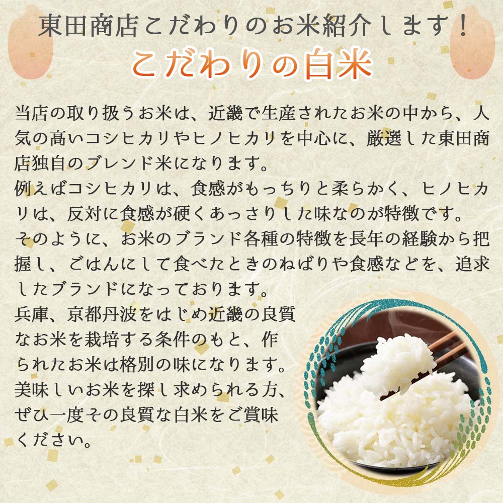 【スピード発送】コシヒカリ 10kg 白米 令和７年産 米 お米 10kg 米10kg 兵庫県産 こしひかり コシヒカリ 西脇市産 令和7年産 R7年産 2025年産 精米