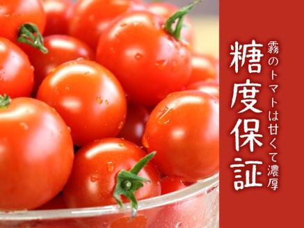 11月末～12月発送予約【霧のトマト】 霧で育てたおいしさ抜群の味！ ミニトマト200ｇ×12パック　18-14