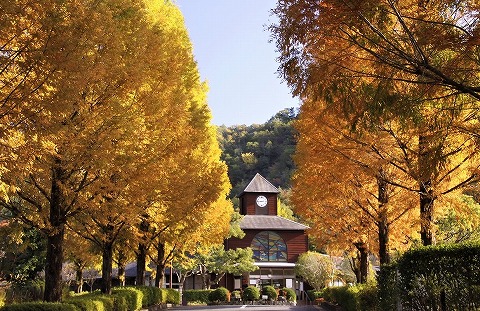 【オートキャンプ場サイト 先行予約券】１泊２日　日本のへそ日時計の丘公園オートキャンプ場　14-28