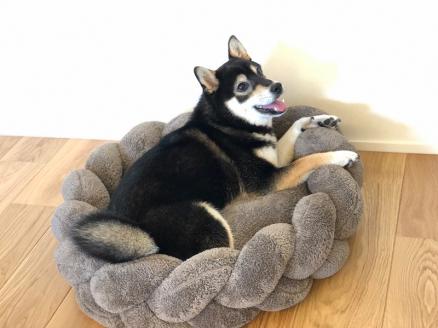 【ペット用ビーズソファ】sopo me サラウンドクッション（ＴｙｐｅＨ） Ｍサイズ モカ　（48-9-1）