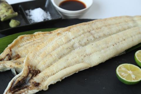【うなぎ 白焼き】活うなぎ 1尾/愛知・一色産150g 魚プロ集団が最新ロースト機で手掛ける自信作！ （11-54）