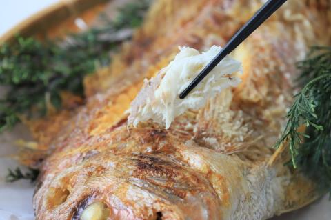 【塩焼き鯛（タイ）・姿焼き】<中>約550g/約35㎝　尾頭付き・縁起物～魚プロ集団が手掛ける自信作　（18-21）