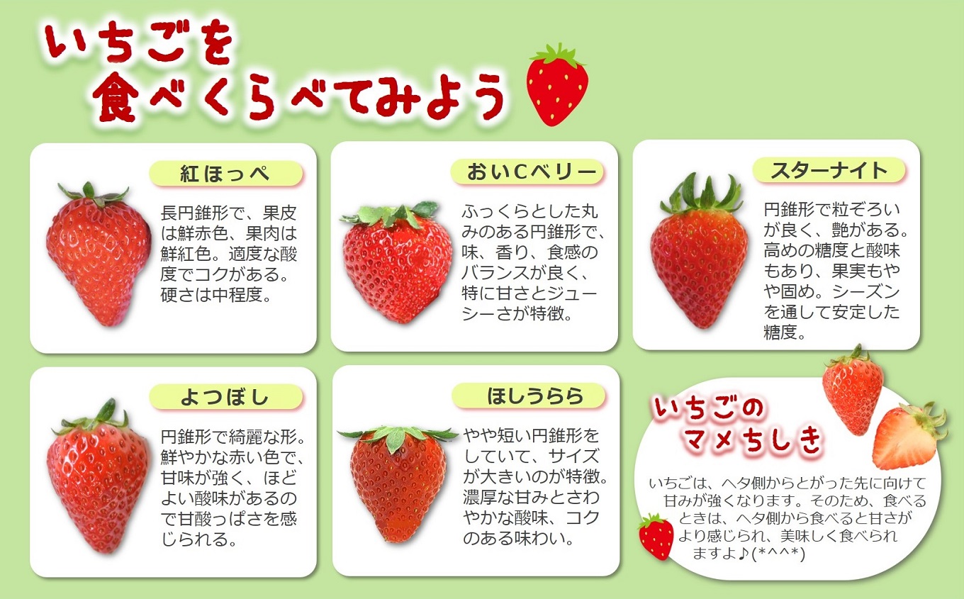 令和８年２月上旬配送分「ひょうご推奨ブランド」認証「西脇市産いちご食べくらべセット」（1箱2パック）～いちご畑macca～（06-39）