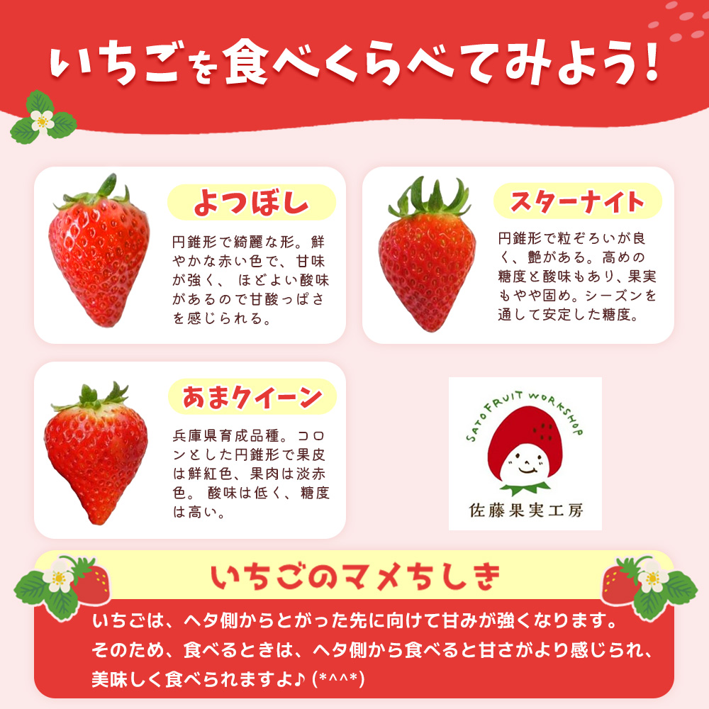 《2026年産先行予約》令和８年２月上旬配送分「西脇市産 旬のいちご2品種食べ比べセット」（1箱２パック）【佐藤果実工房 全国いちご選手権銀賞受賞農園 TVで紹介!】（07-44）