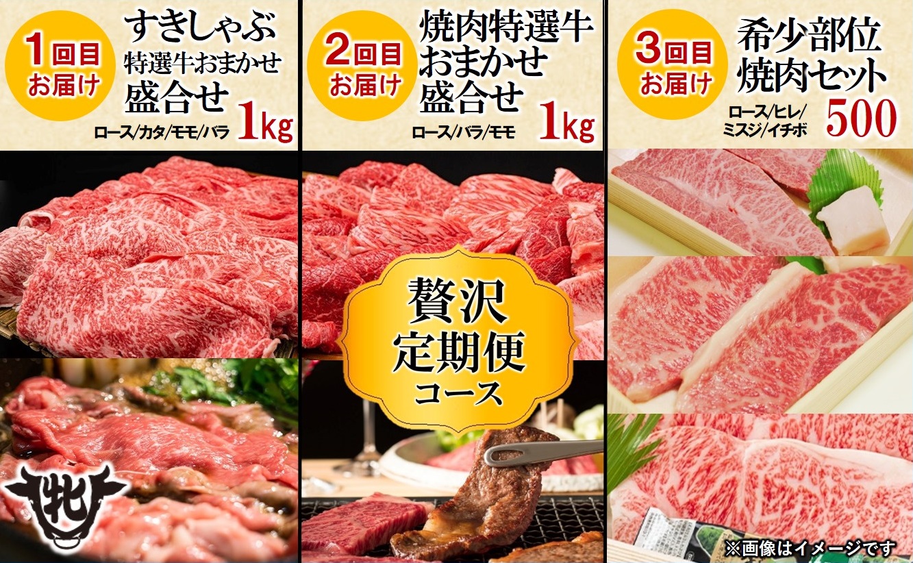 【川岸牧場】神戸ビーフ牝・定期便 6回 極みの贅沢コース（計7.22kg） 500-2