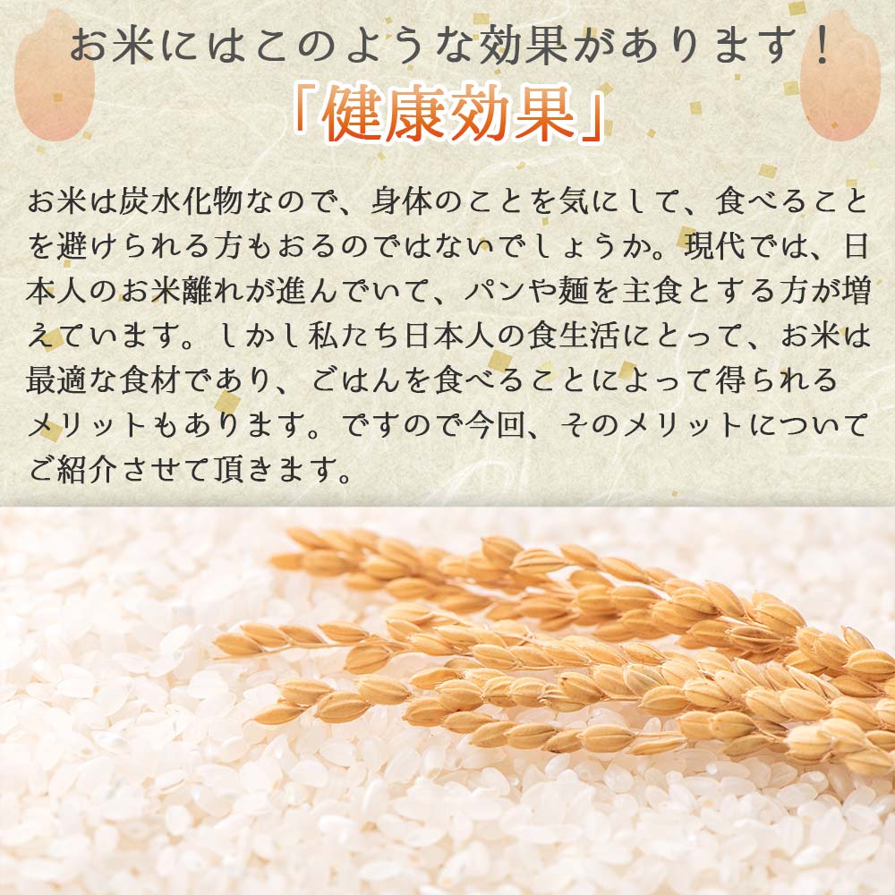 【スピード発送】コシヒカリ 5kg 白米 令和７年産 米 お米 5kg 米5kg 兵庫県産 こしひかり コシヒカリ 西脇市産 令和7年産 R7年産 2025年産 精米