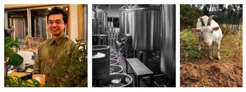 【クラフトビール】シュガーストロベリー 10本セット（丹波路ブルワリー） 24-17