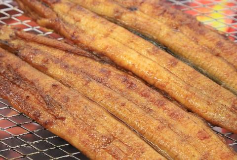 【うなぎ 蒲焼き】活うなぎ 1尾/愛知・一色産150g 魚プロ集団が最新ロースト機で手掛ける自信作！（11-53）
