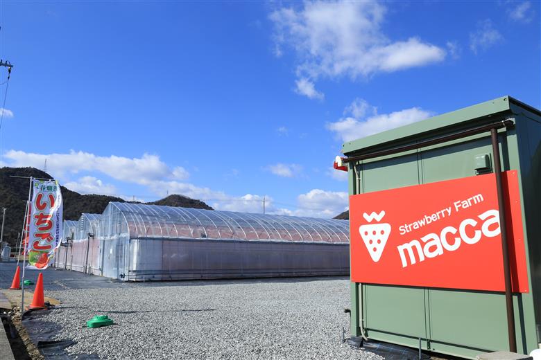 いちごの香りに包まれる 「いちごのアロマウォーター」～いちご畑macca～（04-11）