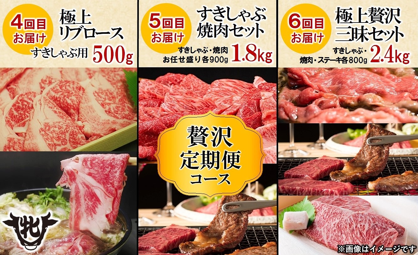 【川岸牧場】神戸ビーフ牝・定期便 6回 極みの贅沢コース（計7.22kg） 500-2