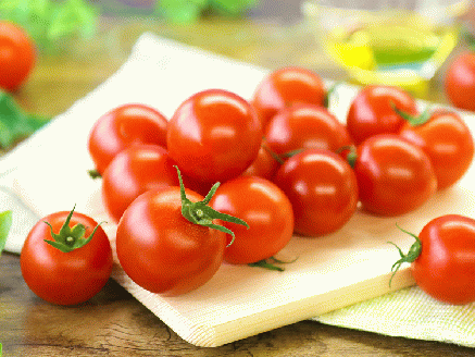 11月末～12月発送予約【霧のトマト】 霧で育てたおいしさ抜群の味！　ミニトマト200ｇ×4パック　06-16