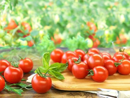 【霧のトマト】 霧で育てたおいしさ抜群の味＋機能性表示食品GABA ミニトマト300ｇ×4パック　07-25