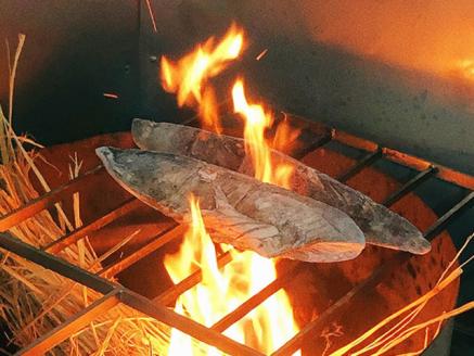 【極上！播州わら焼き】カツオたたき 800g（たれ付き）　10-61