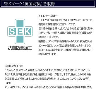 【ando more】日本製ダウンクッション（60×60㎝）　44-48