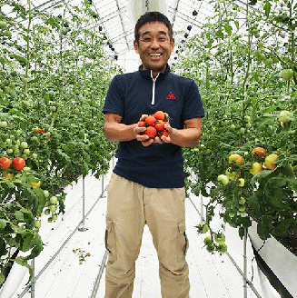 【大人向け 新感覚！】トマトシャーベット・10個入  10-51