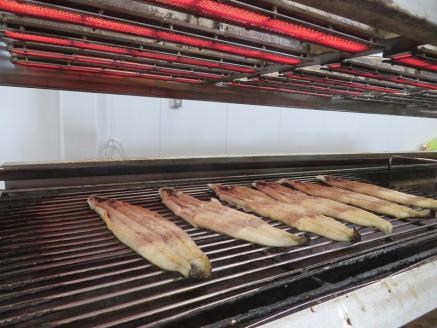 【うなぎ 白焼き】活うなぎ 1尾/愛知・一色産150g 魚プロ集団が最新ロースト機で手掛ける自信作！ （11-54）