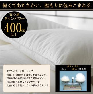 【国産 羽毛布団】オールシーズン2枚合わせ クイーンロングサイズ ホワイトダックダウン93% （190-3）