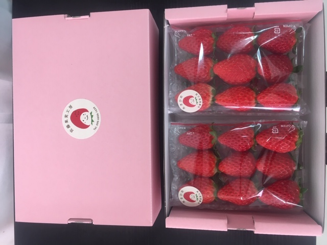 《2026年産先行予約》令和８年２月下旬配送分「西脇市産 旬のいちご2品種食べ比べセット」（1箱２パック）【佐藤果実工房 全国いちご選手権銀賞受賞農園 TVで紹介!】（07-44）