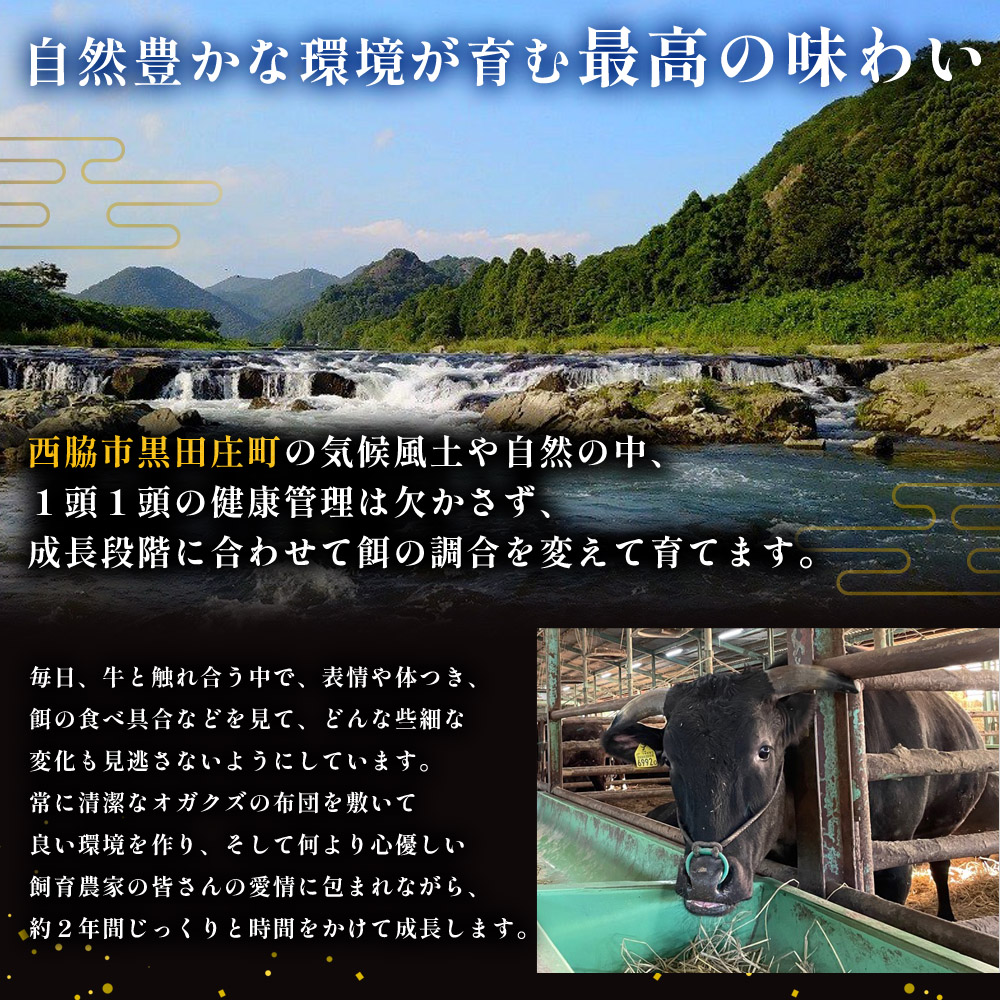 【幻の神戸ビーフ】【最短7営業日発送】黒田庄和牛 サーロインステーキ 165g×2枚　30-10