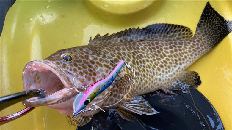 【釣具】BREADEN メタルルアーセット　30-41