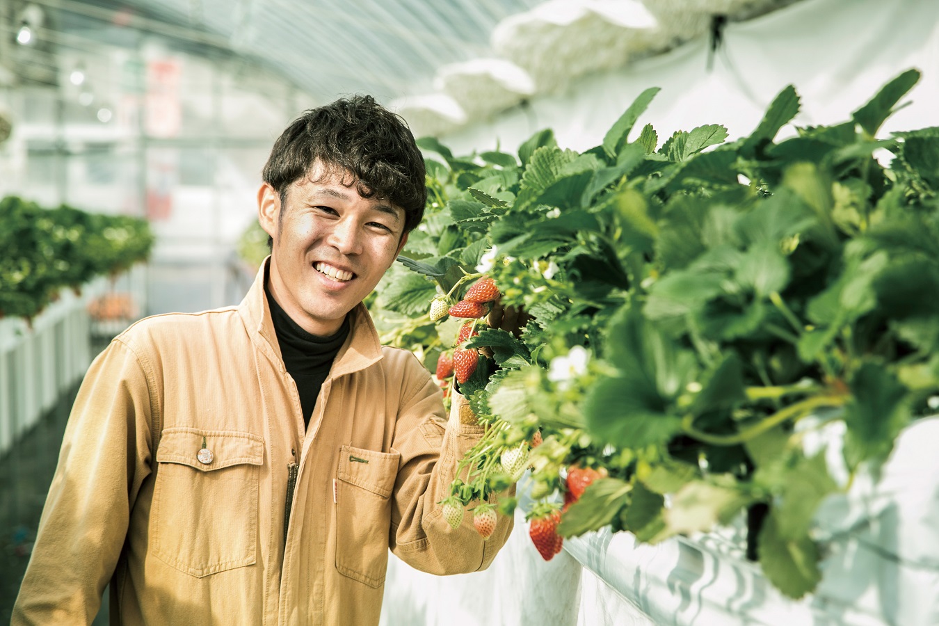 《2026年産先行予約》令和８年２月上旬配送分「西脇市産 旬のいちご2品種食べ比べセット」（1箱２パック）【佐藤果実工房 全国いちご選手権銀賞受賞農園 TVで紹介!】（07-44）
