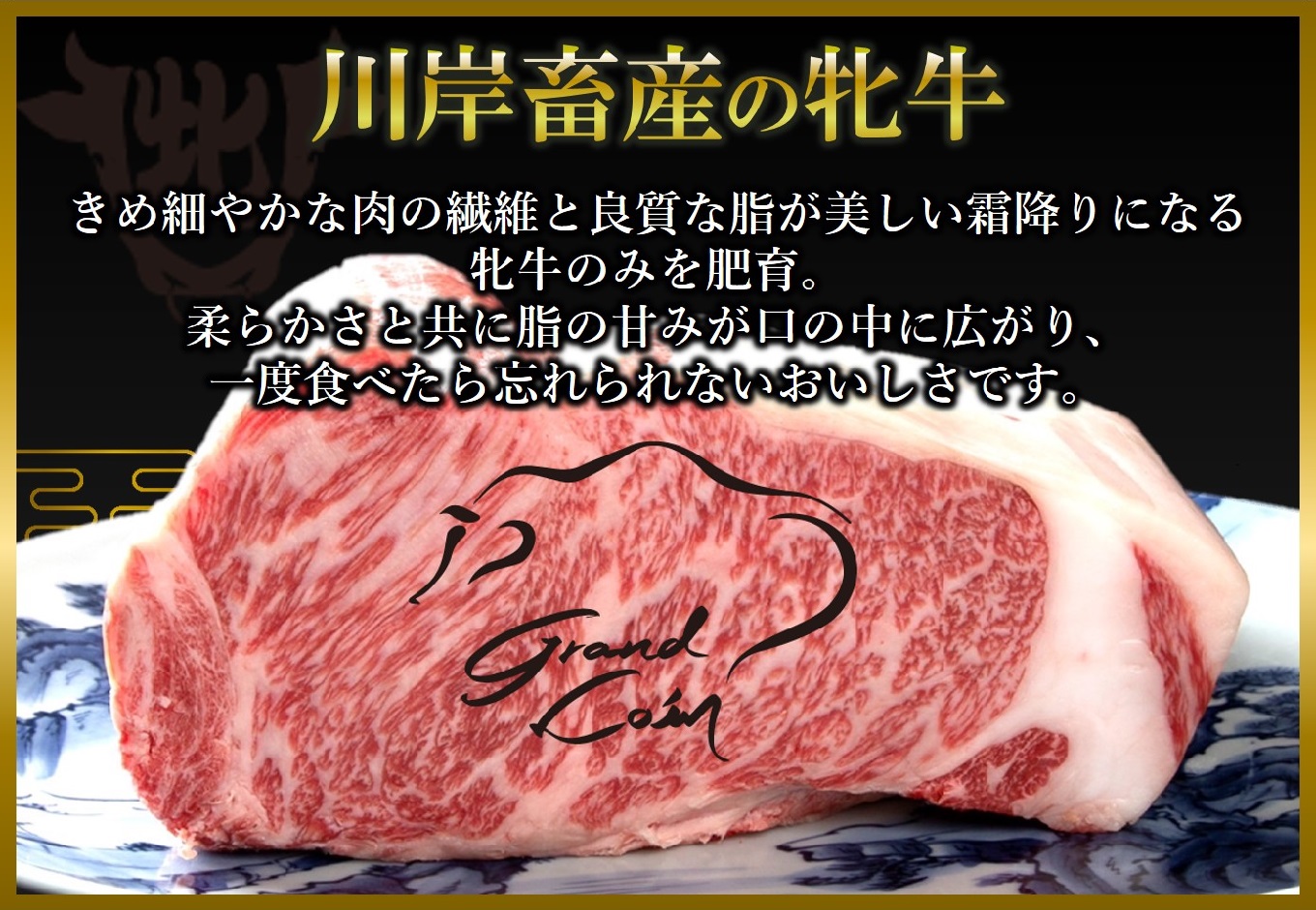 【川岸畜産】神戸ビーフ 牝<特上> 焼肉 おまかせセット 500g　kawagishi-26