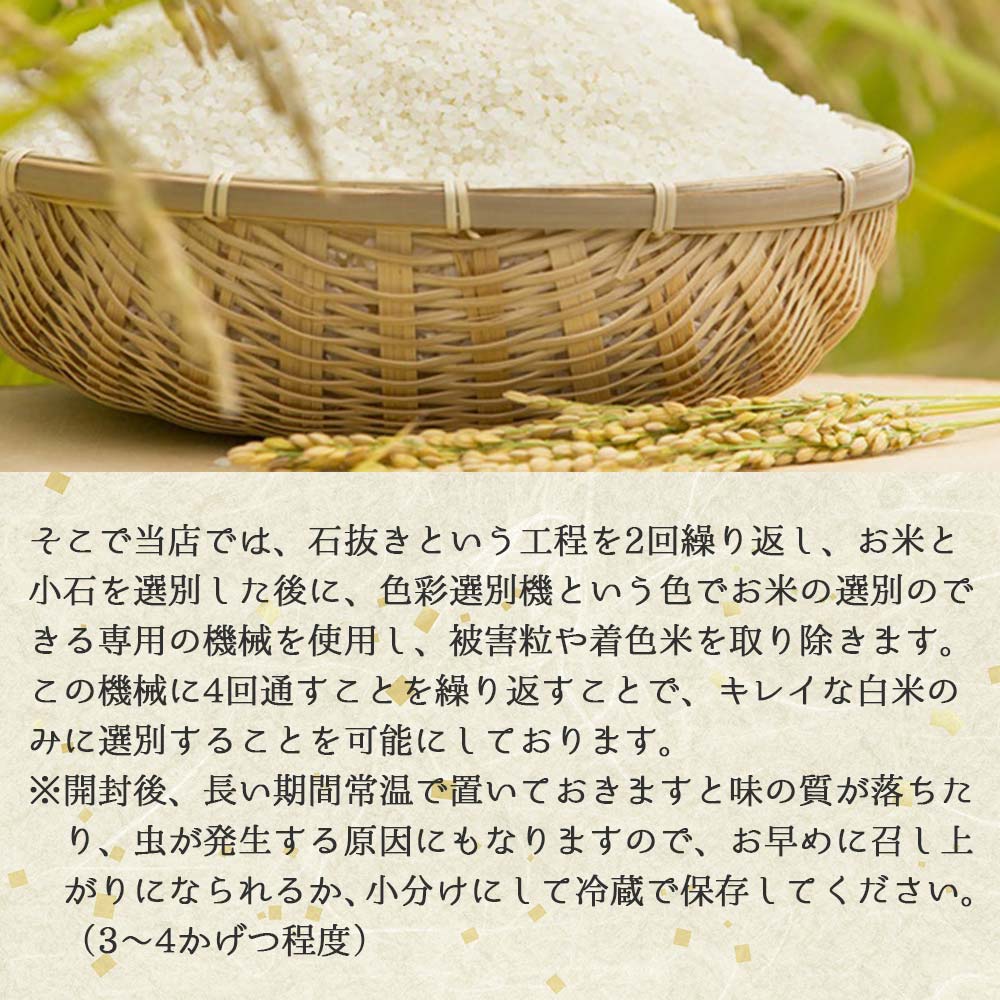 【スピード発送】きぬむすめ 5kg 白米 令和７年産 米 お米 こめ コメ 人気 西脇市産 精米