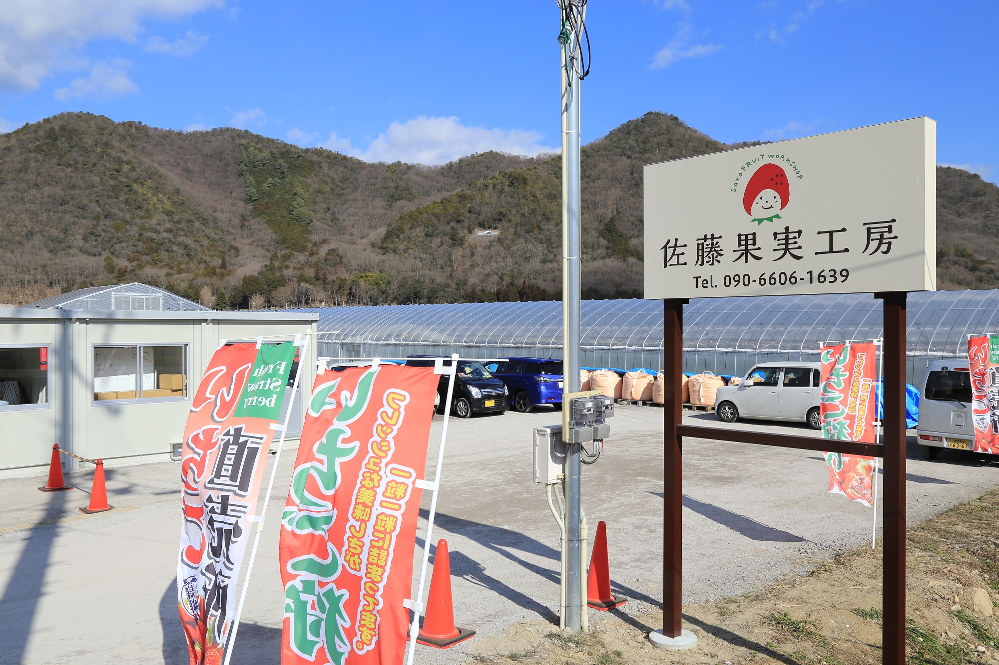 《2026年産先行予約》令和８年３月中旬配送分「西脇市産 佐藤果実工房のよつぼし」（約270g×２パック 約540g）【佐藤果実工房 全国いちご選手権銀賞受賞農園 TVで紹介!】（07-45）